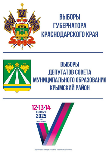 Выборы