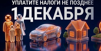Срок уплаты налогов — 1 декабря